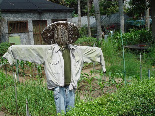 800px-Scarecrow_in_Taipei