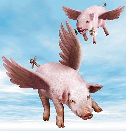 flying pigs blueprint